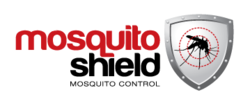 Mosquito